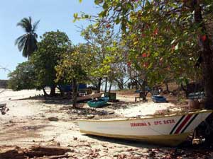 San Juanillo - sport fishing at Tree Tops Bed and Breakfast