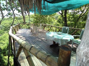 Terrace sundeck overlooking the pacific