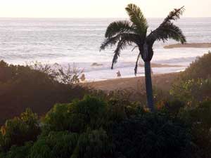 Riding horses on the beach
