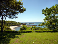 Tree Tops Bed and Breakfast fruit plantation view