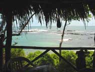 Tree Tops terrace view